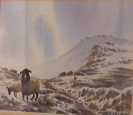 Winter on Kinder Scout.JPG